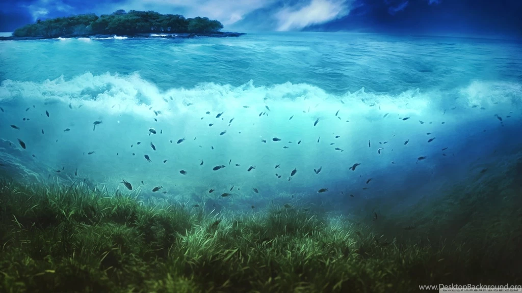 Aquatic Life HD Desktop Wallpapers : High Definition : Fullscreen ...