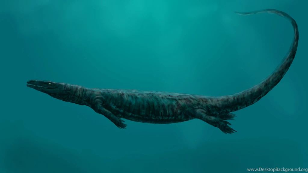 Wallpapers The Life Aquatic Dinosaurs Wallnest 1920x1080