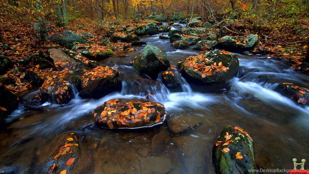 Hd Wallpaper Images   Page 167