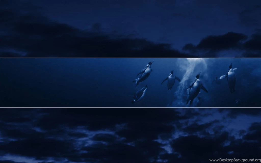 Discounted Wallpapers   Wallpapers HD Fine