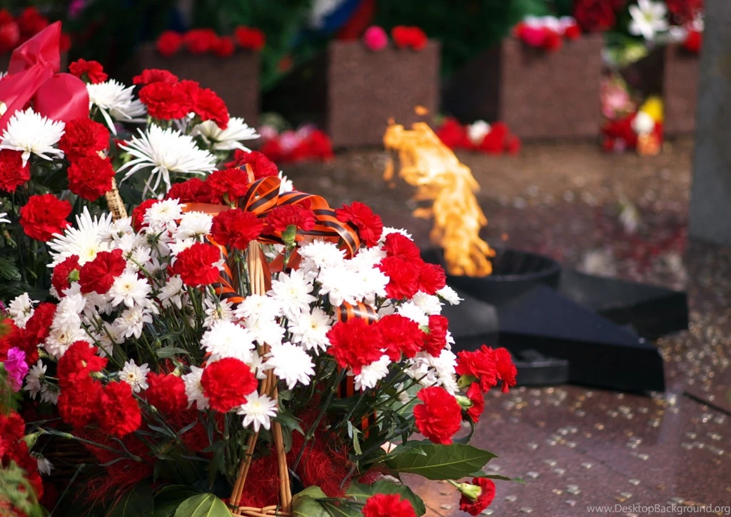 Rose Flower Wallpapers Free