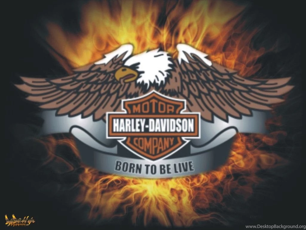 Free Harley Davidson Wallpapers   Wallpapers Cave