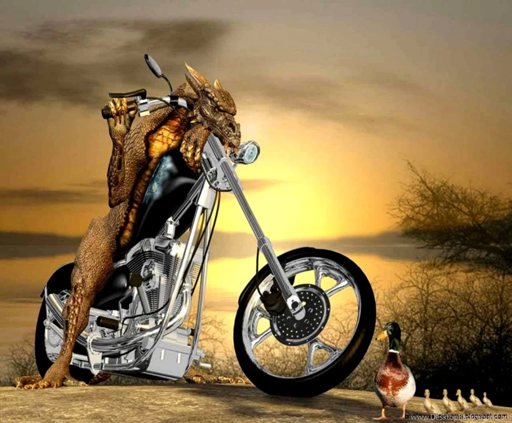 Free Harley Davidson Wallpapers Desktop Background Free Harley Davidson Wallpapers Desktop Background