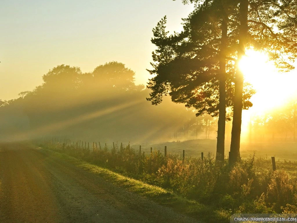 Morning wallpaper 29.jpg
