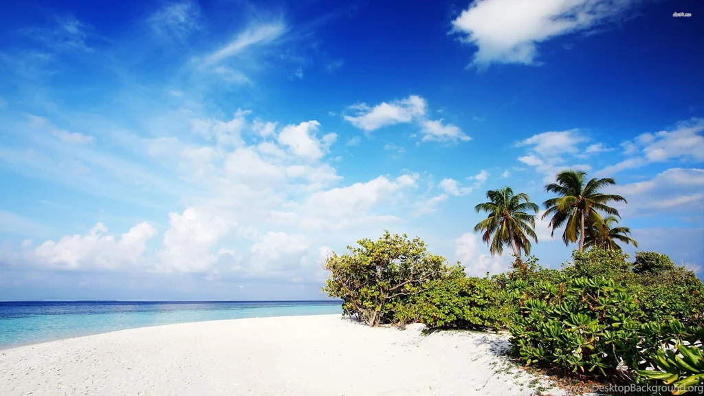 White Hammock In The Maldives Wallpapers