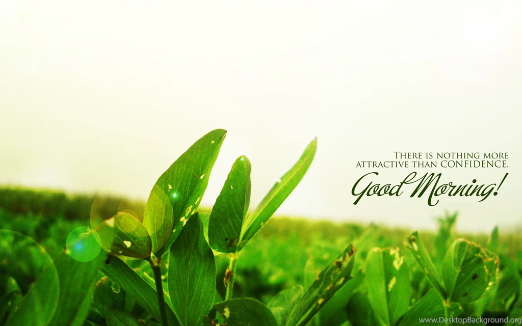 Good Morning Wallpapers Christmas Day Wishes Or Messages ...