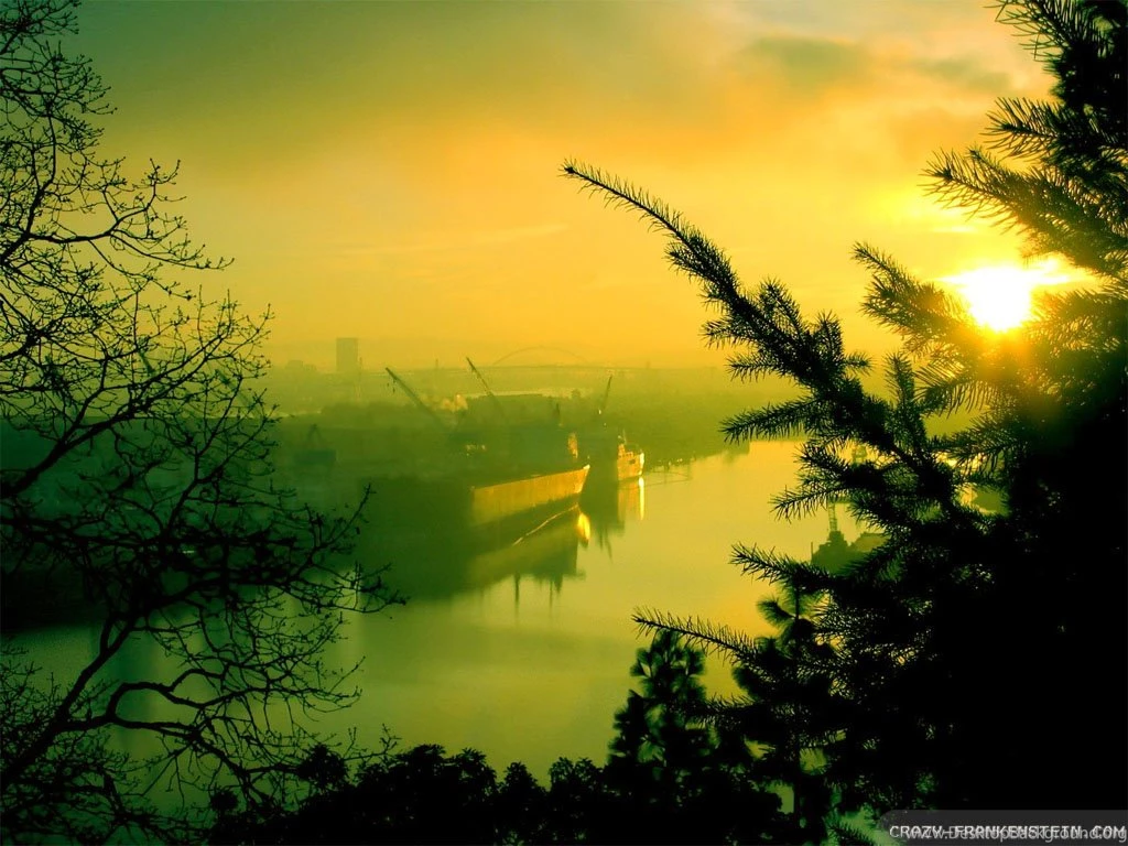 Summer Morning Wallpapers Crazy Frankenstein