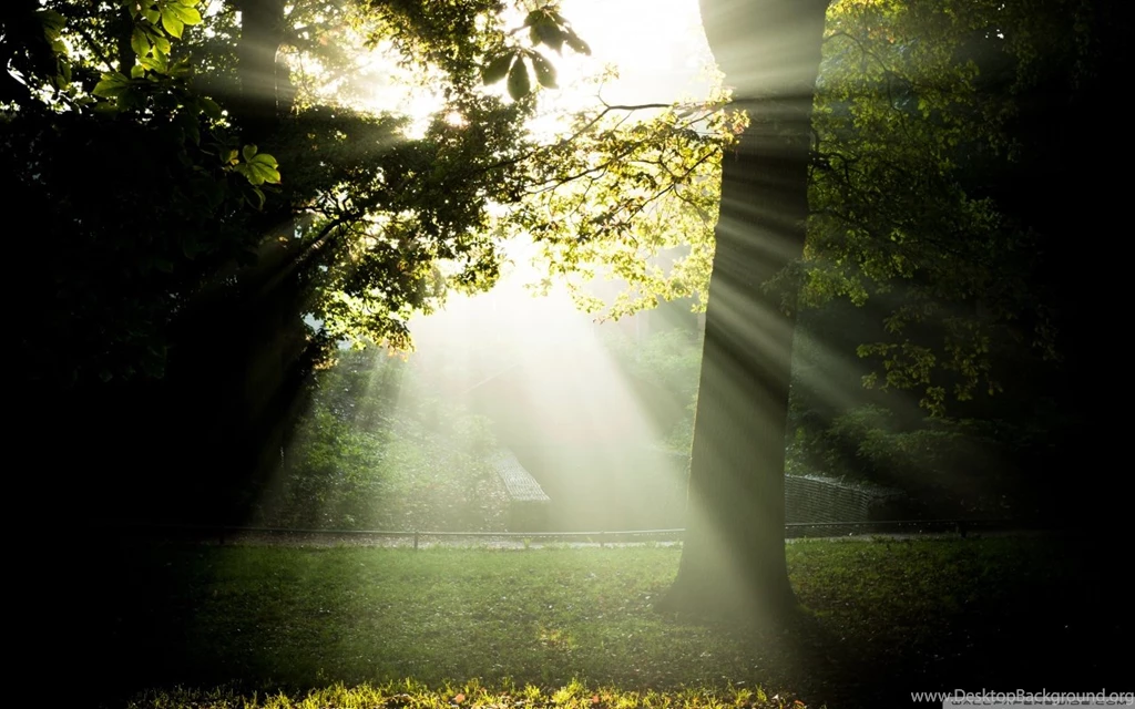 Sunny And Foggy Morning HD Desktop Wallpapers : High Definition ...