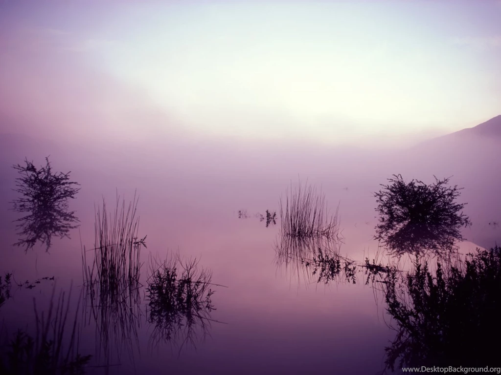 Download Morning Wallpapers 7426 1920x1200 Px High Resolution ...