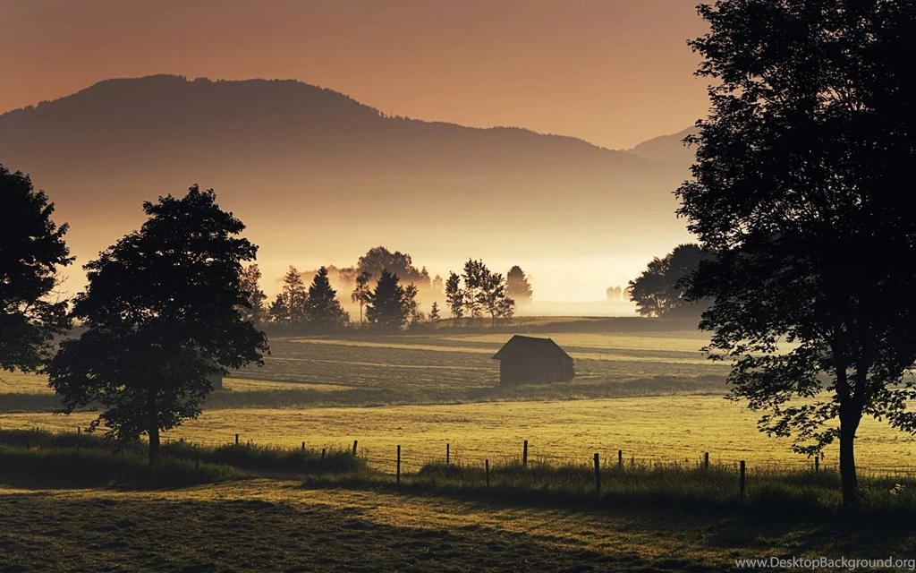 Foggy Morning Wallpapers 7420 1920 X 1200 WallpaperLayer.com