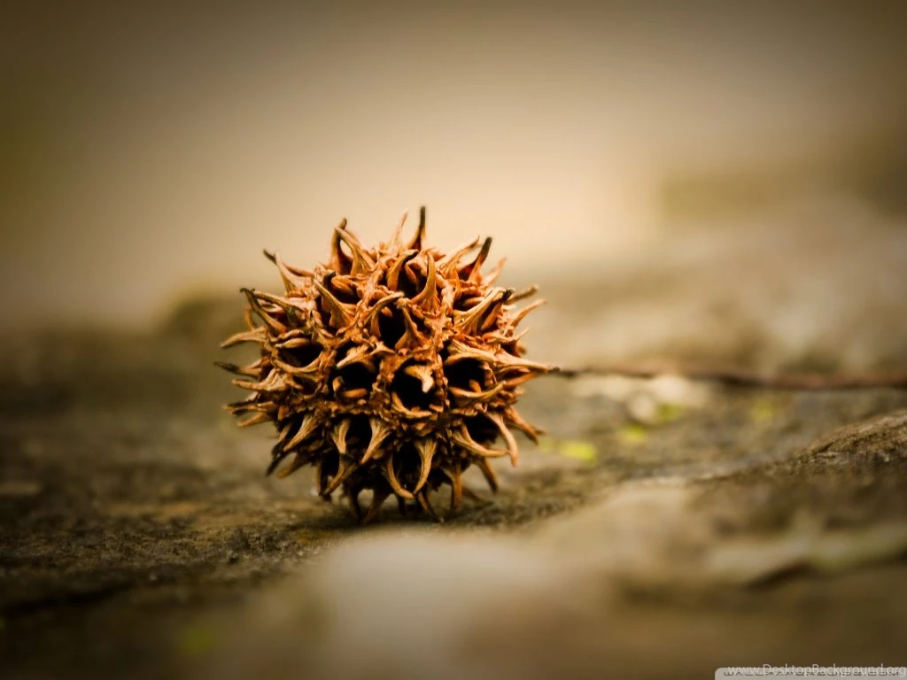 All Alone HD Desktop Wallpapers : High Definition : Fullscreen : Mobile