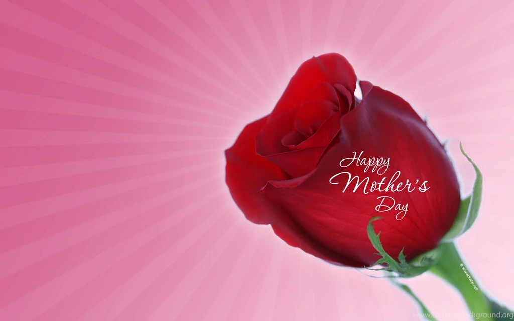 Celebration Archives Wallpapers HD Free Wallpapers In All ...