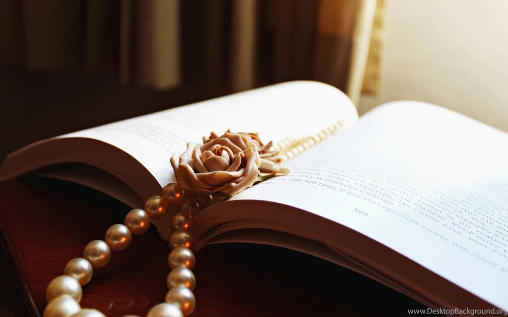 Book Beads White Rose Flower Hd Wallpapers Wallpapers