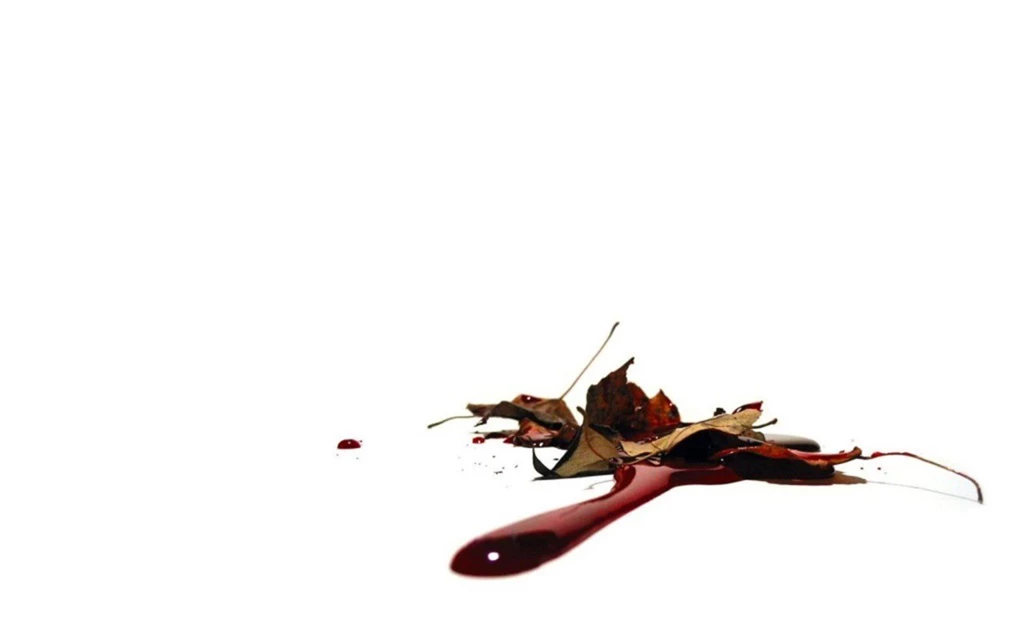 Download The Bloody Fall Wallpaper, Bloody Fall iPhone Wallpapers ...
