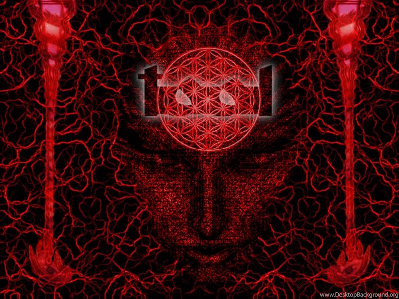 Kelsey Cooley: Tool Backgrounds