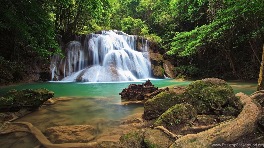 Forest Wallpapers HD