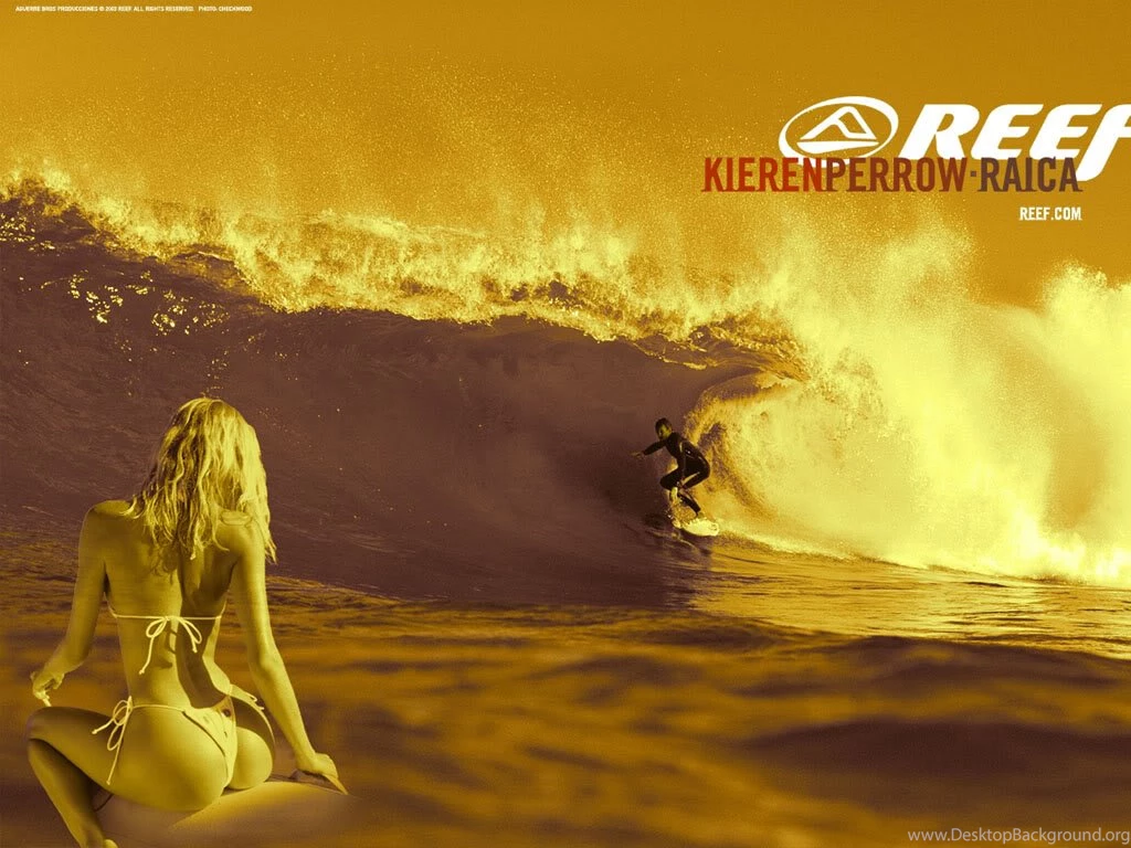 Reef Surfing Wallpaper Images