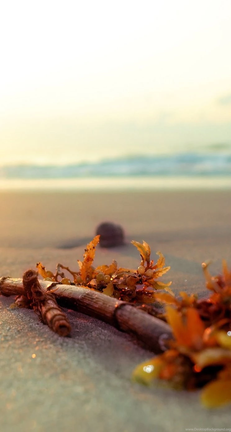 Beach iPhone 5s Wallpapers