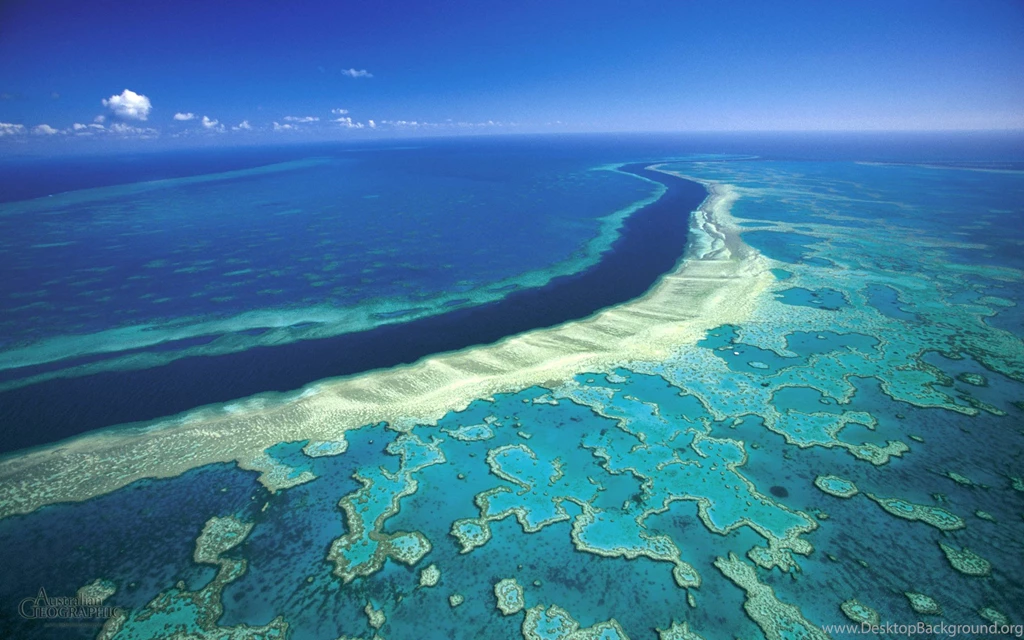 Alan Fincher: Great Barrier Reef High Quality Wallpapers