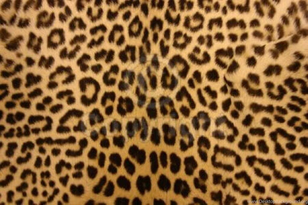 Cheetah Print Wallpapers For Bedroom — Home Decor Ideas : Trendy ...