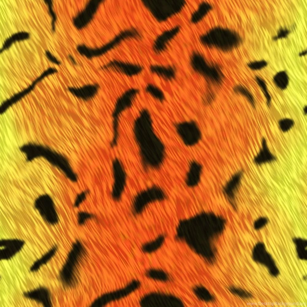 Tiger Print Wallpapers Desktop Backgrounds