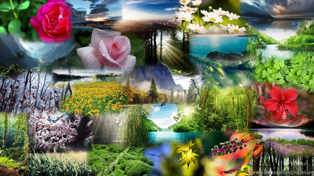 Nature Images HD Wallpapers 1823