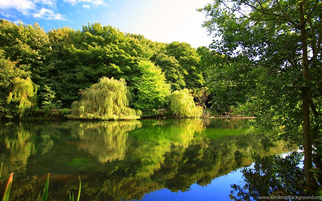 Nature Desktop Wallpapers Hd Wallpapers HD Fine