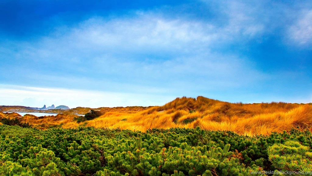 Wallpapers Of Nature Beauty Wallpapers HD Fine