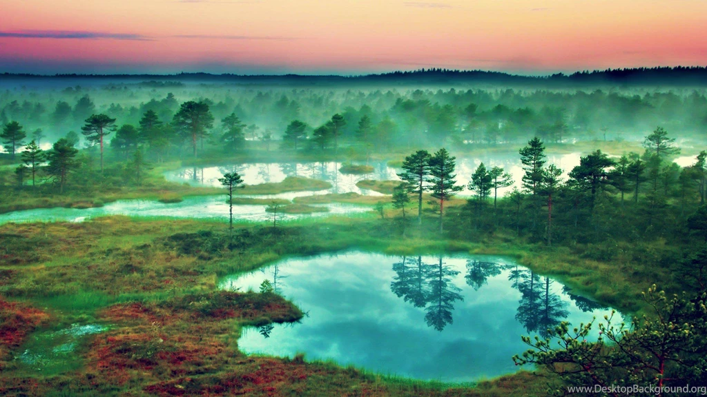 Search Results For “4K Ultra HD Flowers Wallpapers, Desktop ...