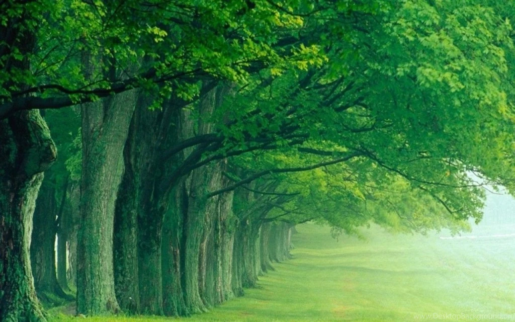 Desktop Wallpapers In HD Nature