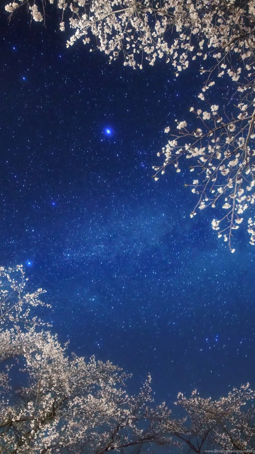 Samsung S6 Wallpapers Bing Images