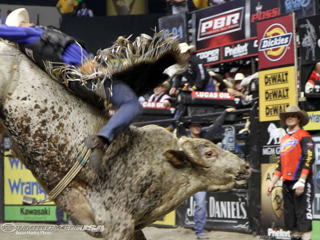 PBR Cowboys Bing Images
