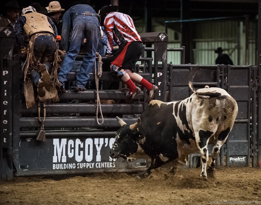 American Bucking Bulls Inc.” » Jeffrey K. Edwards