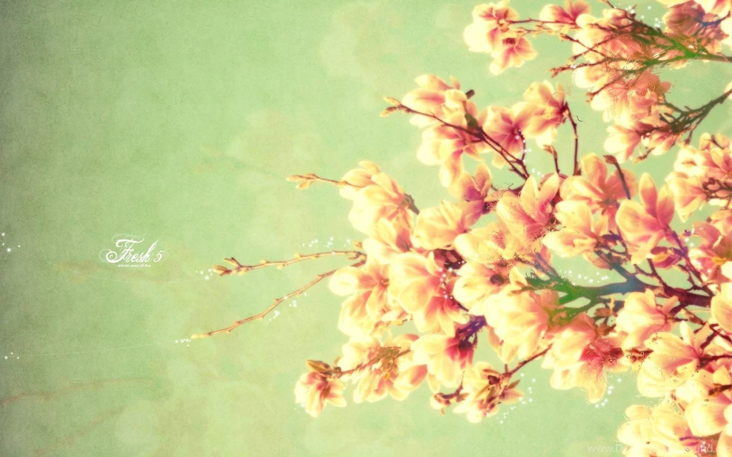 HD Spring Wallpapers Background Images