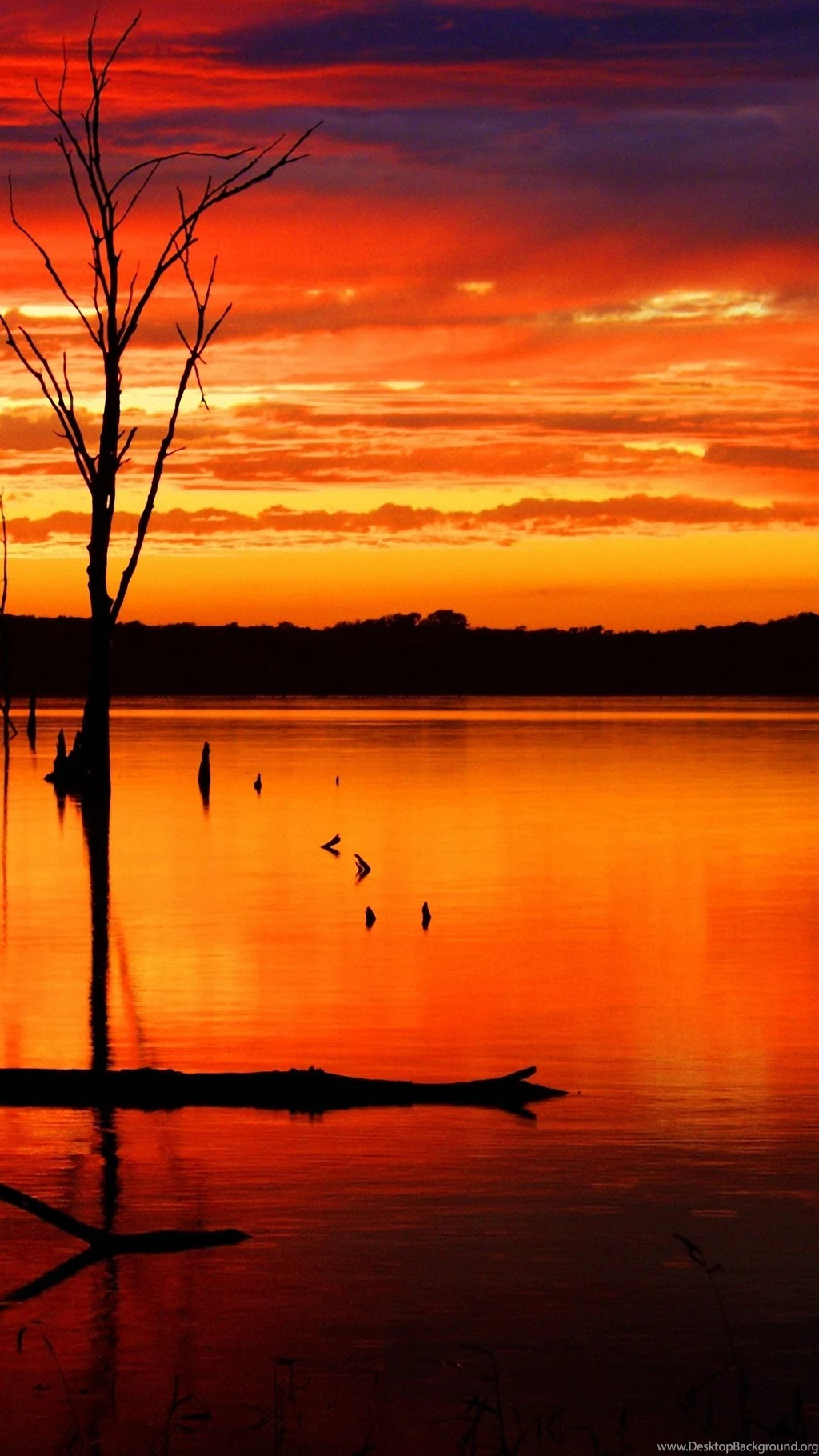Sky Search Lg G3 Wallpapers HD 1440x2560