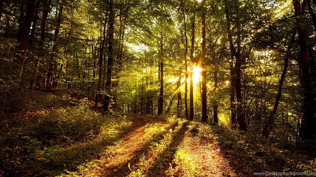 Nature Sunshine Wallpapers