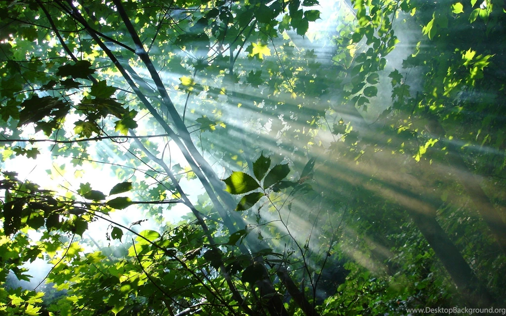 Scenic, Wallpapers, Blogger, Background, Sunshine, Desktop ...