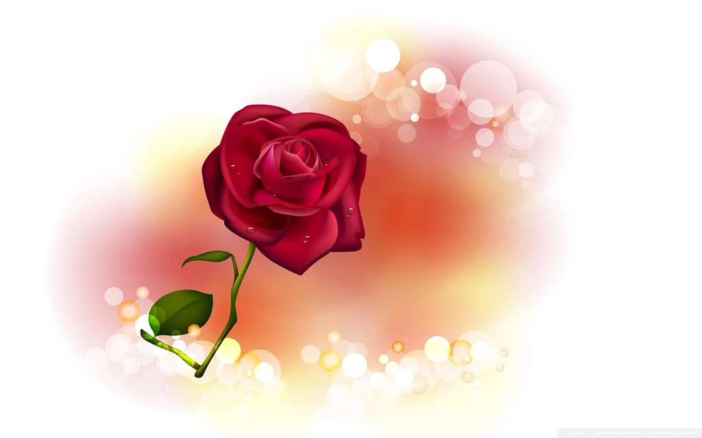 Roses Wallpapers (Album 2)