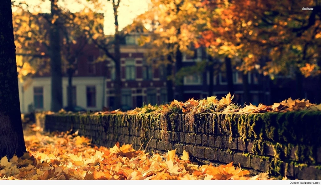 Best, Wonderful Cities In The World Wallpapers Hd