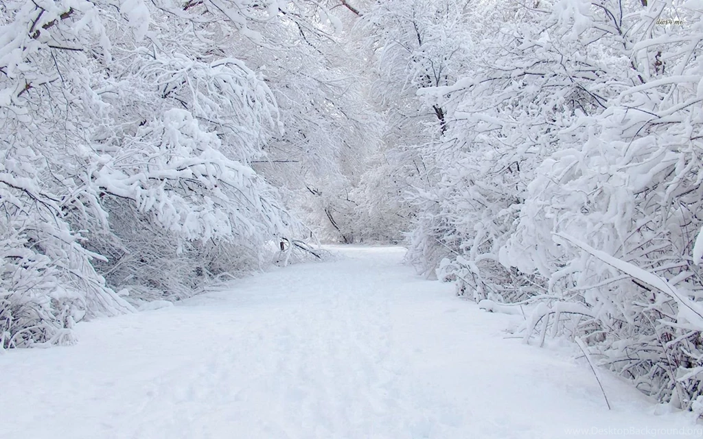 Jestingstock.com Snow Images Wallpapers