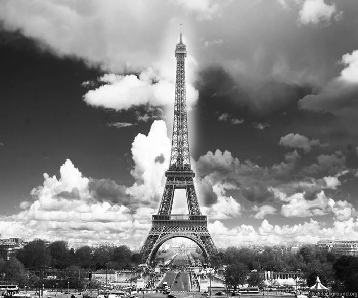 Classic Black White Photo Wallpapers Paris Eiffel Tower Designer ...