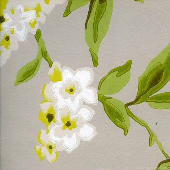 Showstopper Wisteria Wallpapers By Clarke & Clarke