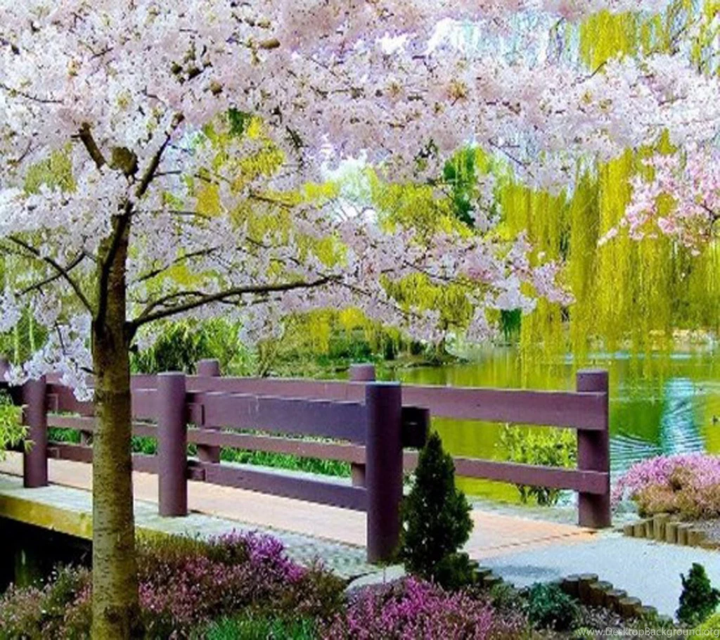 Beautiful Nature Wallpapers Free Download