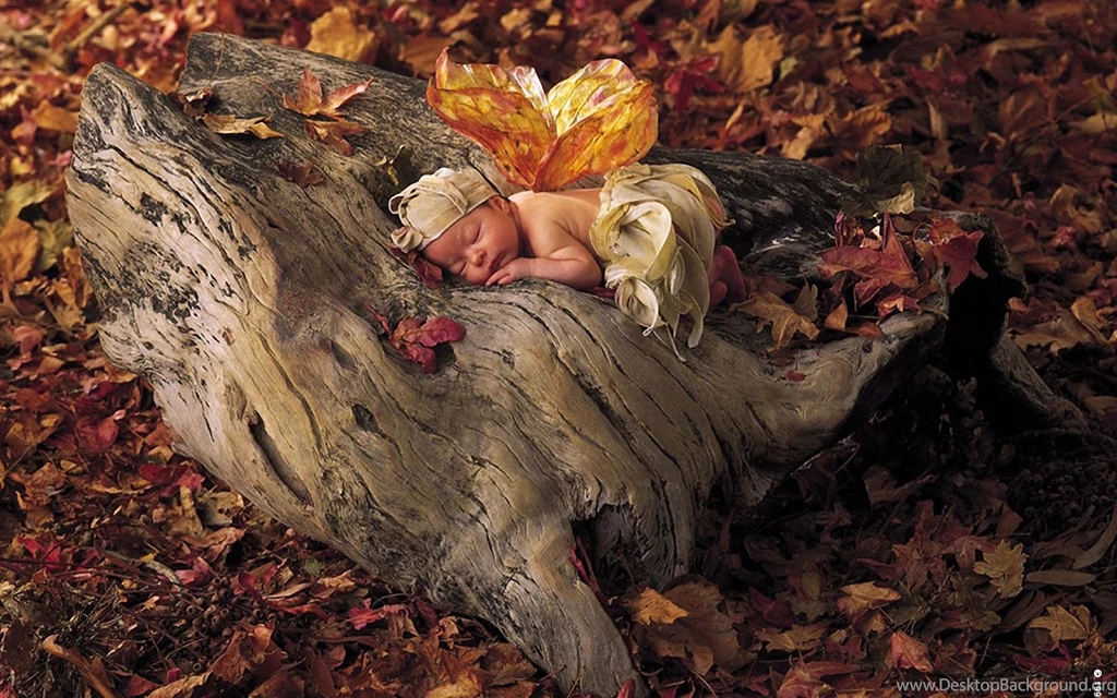 Autumn Fairy Baby 1920x1200 Wallpapers, 1920x1200 Wallpapers ...