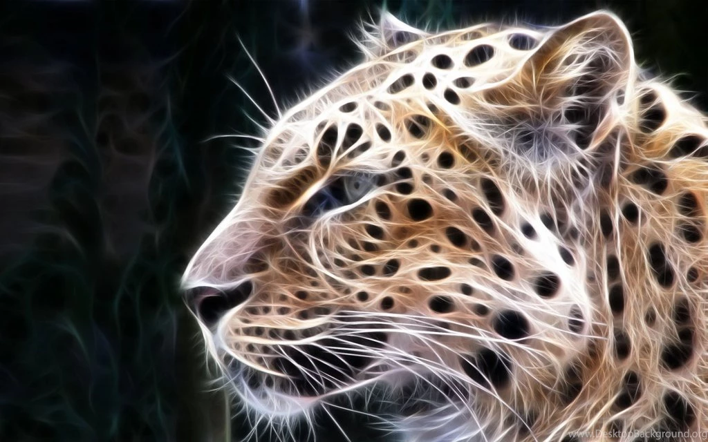 3D Animal Wallpapers