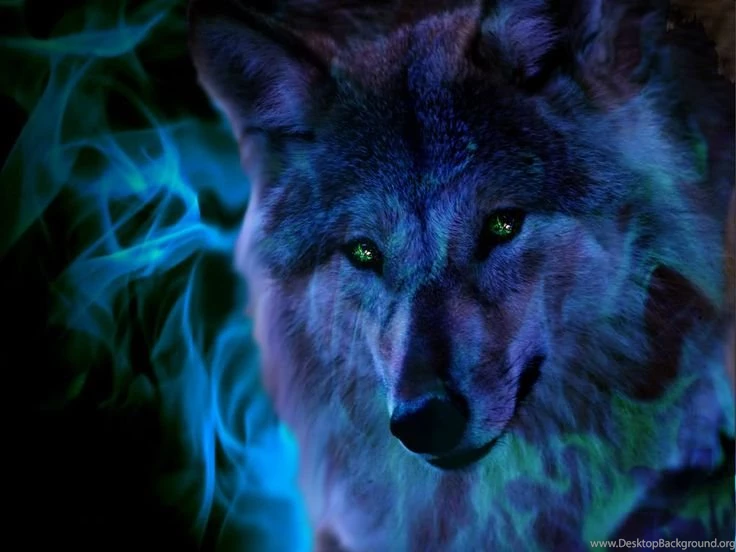 3d And Abstract Animals