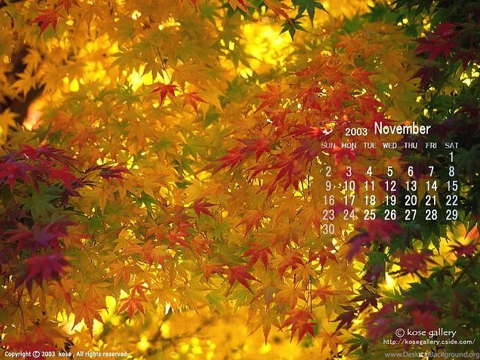 2003 November Desktop Calendar November Calendar Wallpaper11 ...