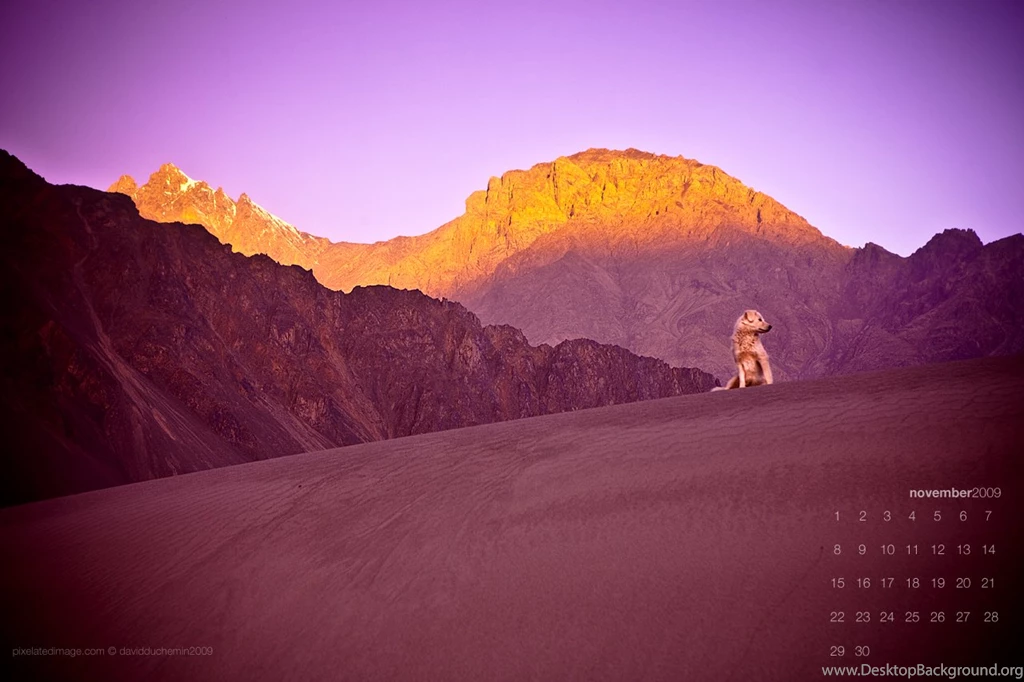 November 2009 Wallpapers