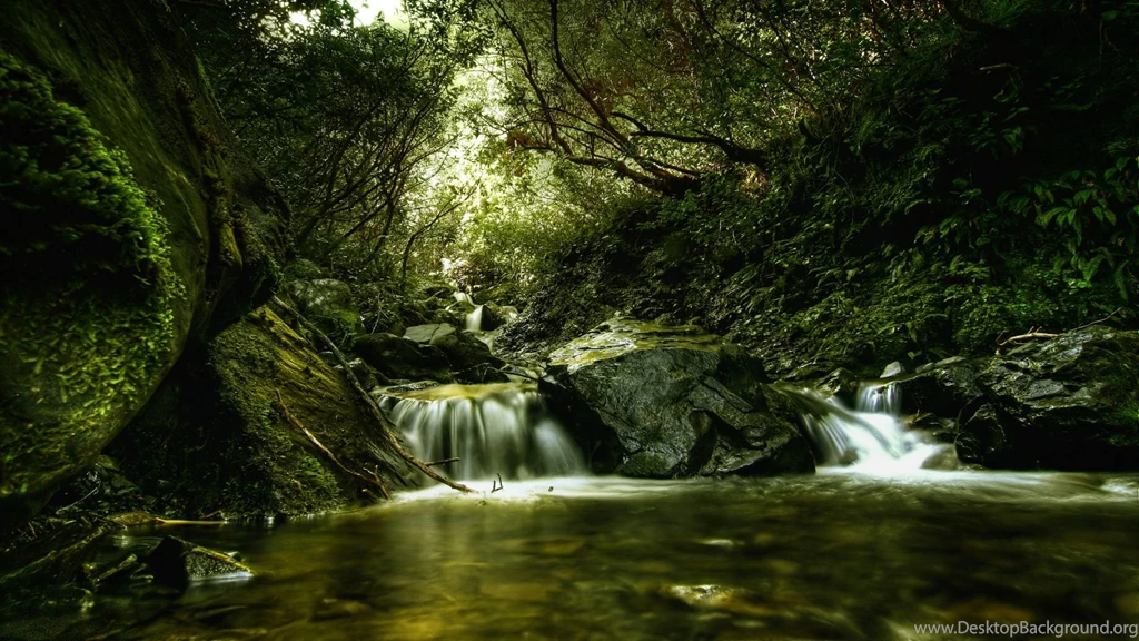 Justpict.com Computer Wallpaper Images