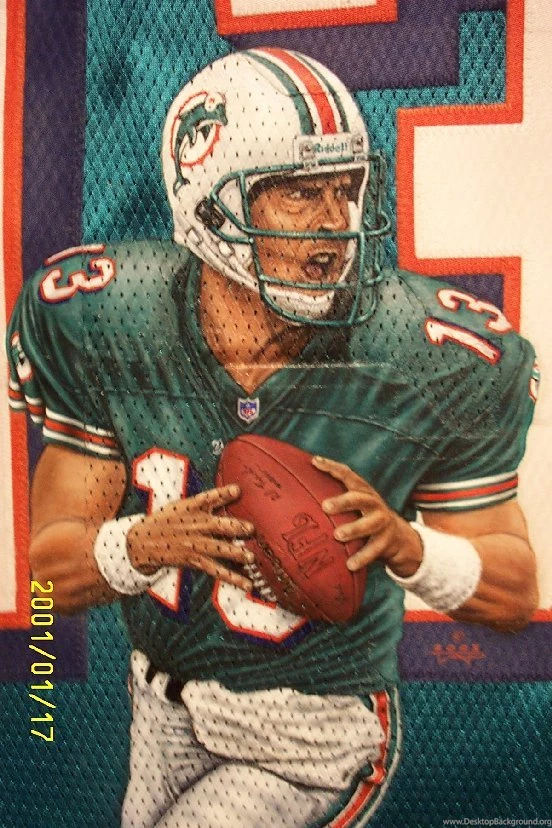 QB Dan Marino Helmet By Taplegion On DeviantArt